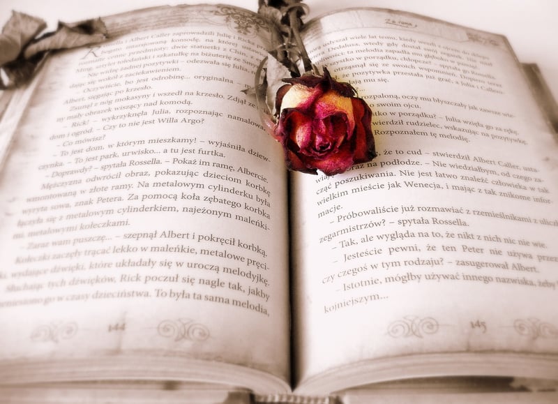 Romantic Narratives Image