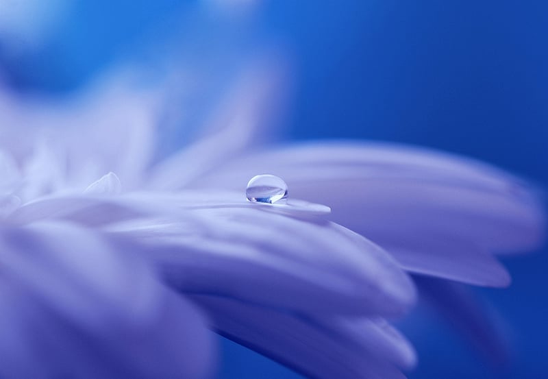 Enchanting World
